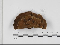 登錄號:F0033307藏品圖，第3張