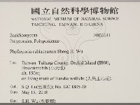 登錄號:F0033311藏品圖，第2張