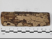登錄號:F0033313藏品圖，第1張