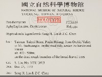 登錄號:F0033314藏品圖，第2張