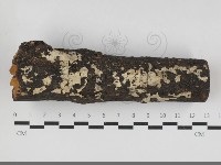 登錄號:F0033316藏品圖，第1張