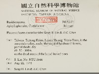 登錄號:F0033317藏品圖，第2張