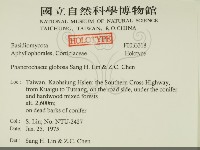 登錄號:F0033318藏品圖，第2張