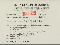 登錄號:F0033319藏品圖，第2張
