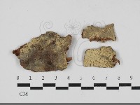 登錄號:F0033319藏品圖，第1張