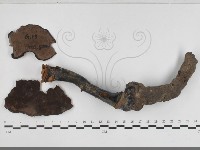 登錄號:F0033320藏品圖，第1張