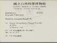 登錄號:F0033321藏品圖，第2張