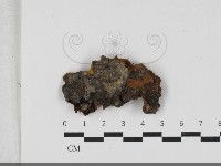 登錄號:F0033321藏品圖，第1張