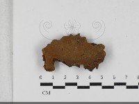 登錄號:F0033321藏品圖，第3張
