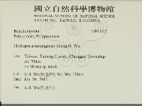 登錄號:F0033322藏品圖，第2張