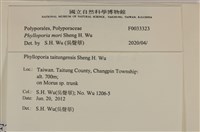 登錄號:F0033323藏品圖，第3張
