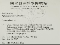 顯絲菌屬藏品圖，第2張