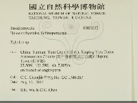 登錄號:F0033325藏品圖，第2張