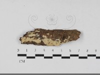 登錄號:F0033325藏品圖，第1張