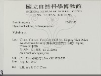 登錄號:F0033326藏品圖，第2張