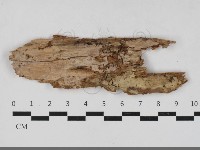 登錄號:F0033328藏品圖，第1張