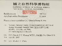 登錄號:F0033331藏品圖，第2張