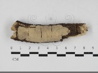 登錄號:F0033332藏品圖，第1張