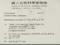 登錄號:F0033333藏品圖，第2張