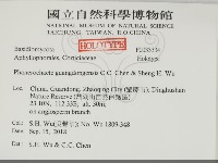 登錄號:F0033334藏品圖，第2張