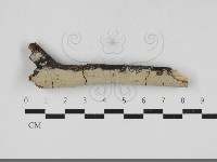 登錄號:F0033334藏品圖，第1張