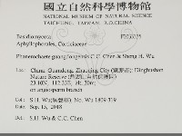 登錄號:F0033335藏品圖，第2張