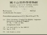 登錄號:F0033336藏品圖，第2張