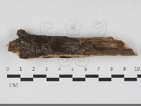 登錄號:F0033337藏品圖，第1張