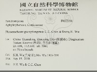 登錄號:F0033338藏品圖，第2張