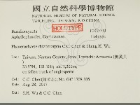 登錄號:F0033339藏品圖，第2張