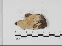 登錄號:F0033339藏品圖，第1張