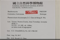 登錄號:F0033339藏品圖，第3張
