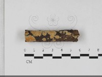 登錄號:F0033341藏品圖，第1張