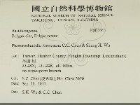 登錄號:F0033343藏品圖，第2張