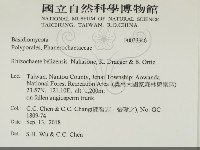 登錄號:F0033346藏品圖，第2張