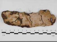 登錄號:F0033346藏品圖，第1張