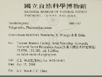 登錄號:F0033347藏品圖，第2張