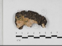 登錄號:F0033347藏品圖，第1張