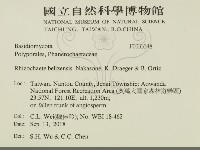 登錄號:F0033348藏品圖，第2張