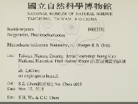 登錄號:F0033350藏品圖，第2張