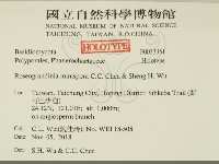 館號:F0033351藏品圖，第2張