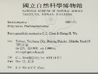 登錄號:F0033352藏品圖，第2張