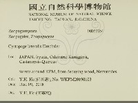 登錄號:F0033354藏品圖，第2張