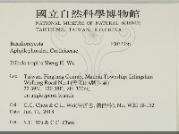 登錄號:F0033356藏品圖，第2張