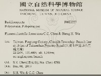 登錄號:F0033357藏品圖，第2張