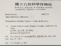 登錄號:F0033364藏品圖，第2張