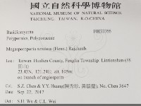 登錄號:F0033366藏品圖，第2張