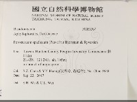 登錄號:F0033367藏品圖，第2張