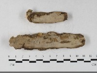 登錄號:F0033367藏品圖，第1張