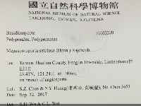 登錄號:F0033370藏品圖，第2張